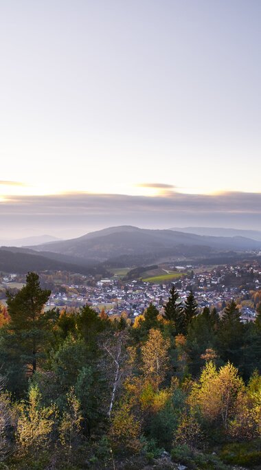 Hinter Nadelbäumen und herbstlich eingefärbten Laubbäumen ist Bodenmais zu erkennen. Am Horizont steht die Sonne tief und teils hinter Wolken versteckt. | © Bodenmais Tourismus & Marketing GmbH