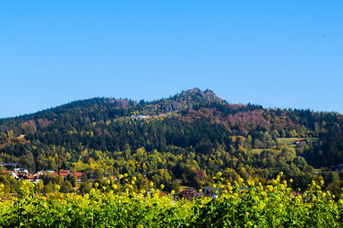 Ein Berg inmitten von Bäumen und Grün mit einzelnen Häusern dazwischen | © Markt Bodenmais